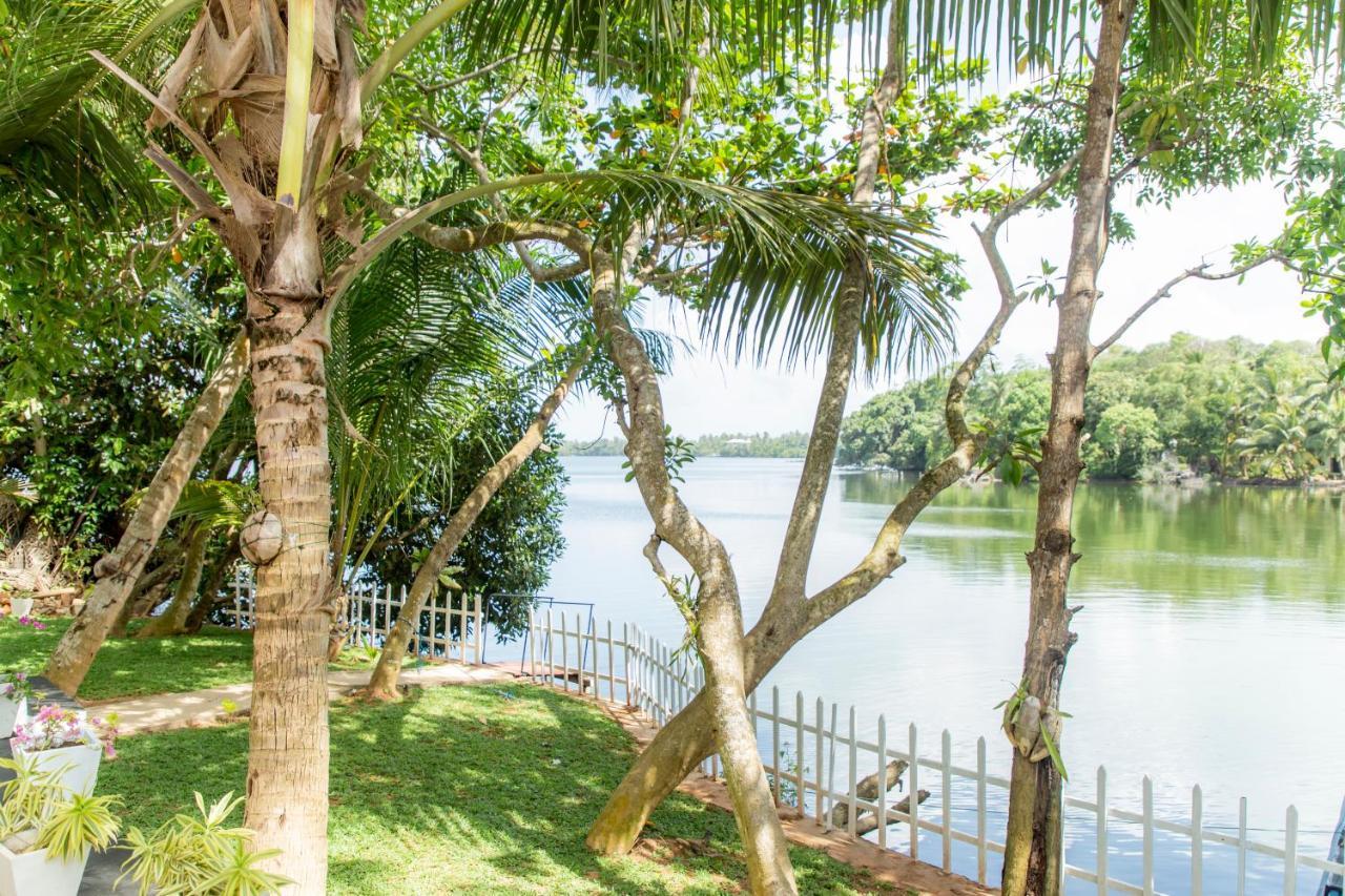 Scenery River Star Hotel Hikkaduwa Eksteriør billede